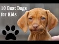 The 10 Best Dog Breeds for Kids and Families